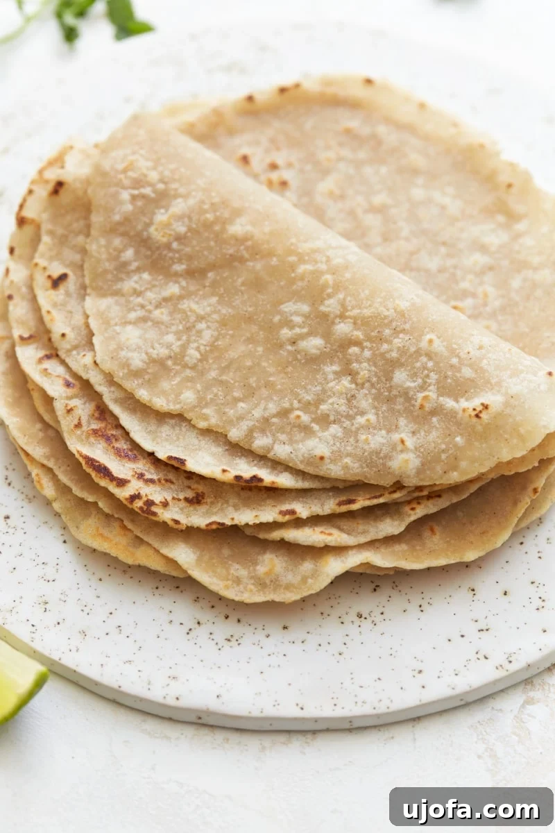 Soft and flexible gluten-free tortillas folded neatly on a pristine white plate, garnished with fresh herbs, anticipating a delicious filling.