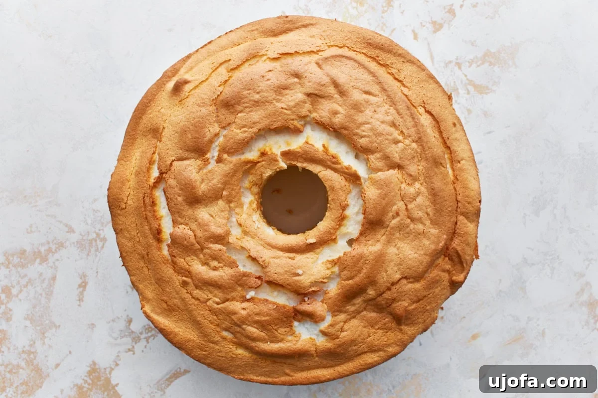 A fully cooked gluten-free angel food cake, untouched, presented on a light countertop.