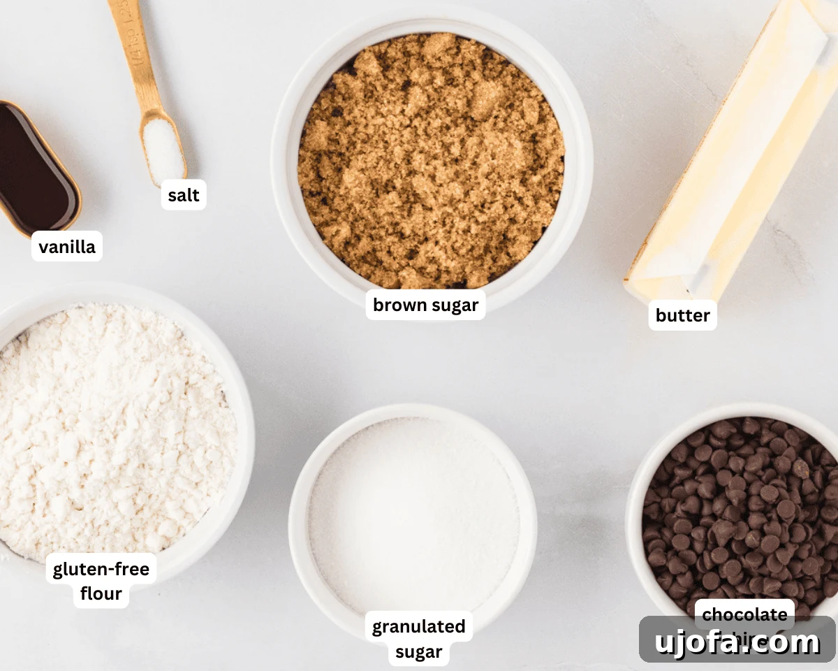 Guilt-Free Gluten-Free Cookie Dough 4 All ingredients for gluten-free edible cookie dough laid out: butter, sugars, vanilla, flour, salt, and chocolate chips.