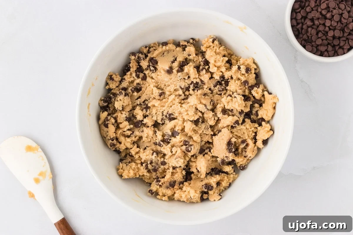 Guilt-Free Gluten-Free Cookie Dough 8 Bowl of fully mixed edible cookie dough with mini chocolate chips stirred in.
