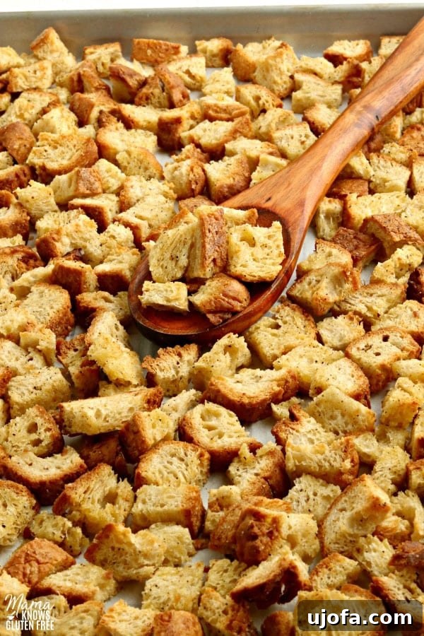 Crafting Delicious Gluten-Free Croutons 2 Golden brown gluten-free croutons on a baking sheet with a wooden spoon, ready to be served or stored.