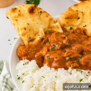 Flavorful Gluten-Free Chicken Feasts 16 Dairy-free butter chicken served over basmati rice in a white bowl, accompanied by naan bread, showcasing a rich and inviting meal.