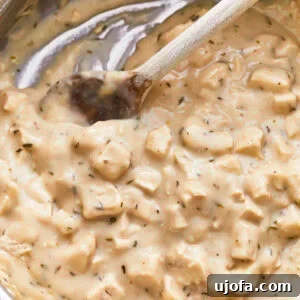 Flavorful Gluten-Free Chicken Feasts 19 A wooden spoon stirring gluten-free cream of chicken soup in a pan, highlighting its smooth, creamy texture.