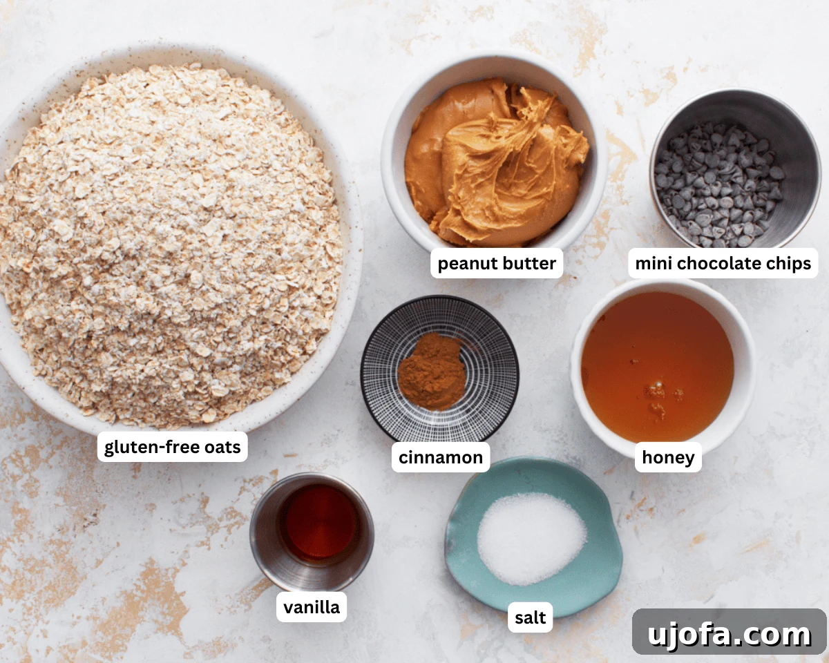 Homemade gluten-free granola bar ingredients laid out: oats, peanut butter, honey, vanilla, cinnamon, salt, and mini chocolate chips.