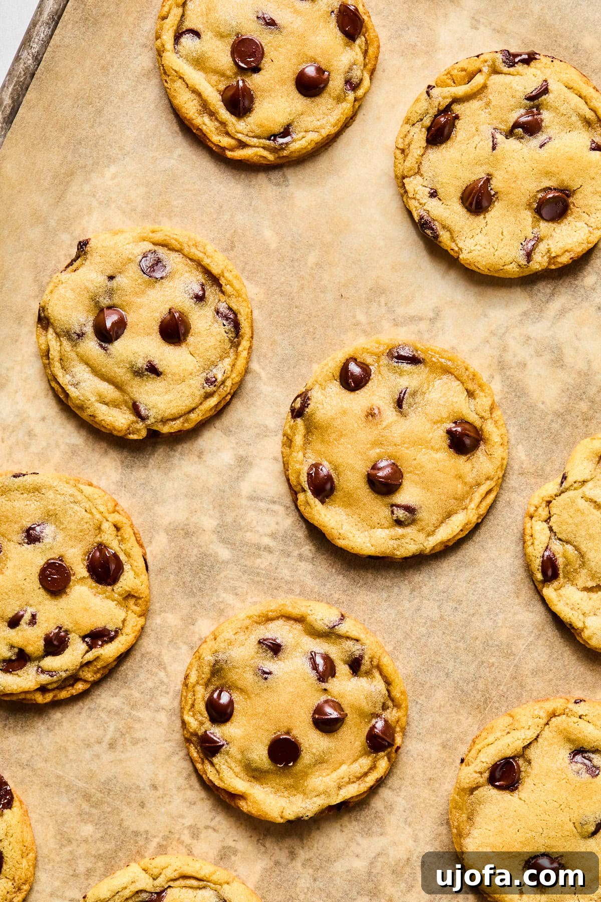 Freshly baked gluten-free chocolate chip cookies cooling on a baking sheet, with golden edges.
