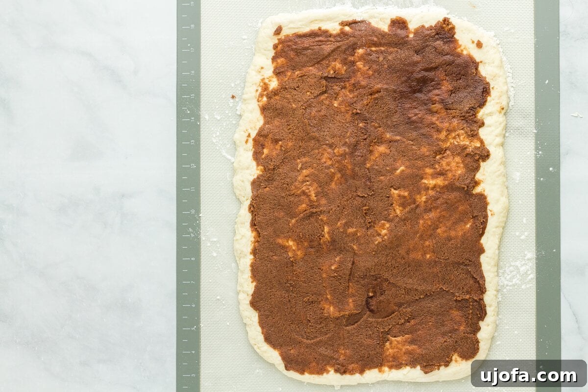 Mardi Gras Magic: Gluten-Free King Cake 11 Cinnamon sugar filling evenly spread over rolled gluten free dough rectangle.