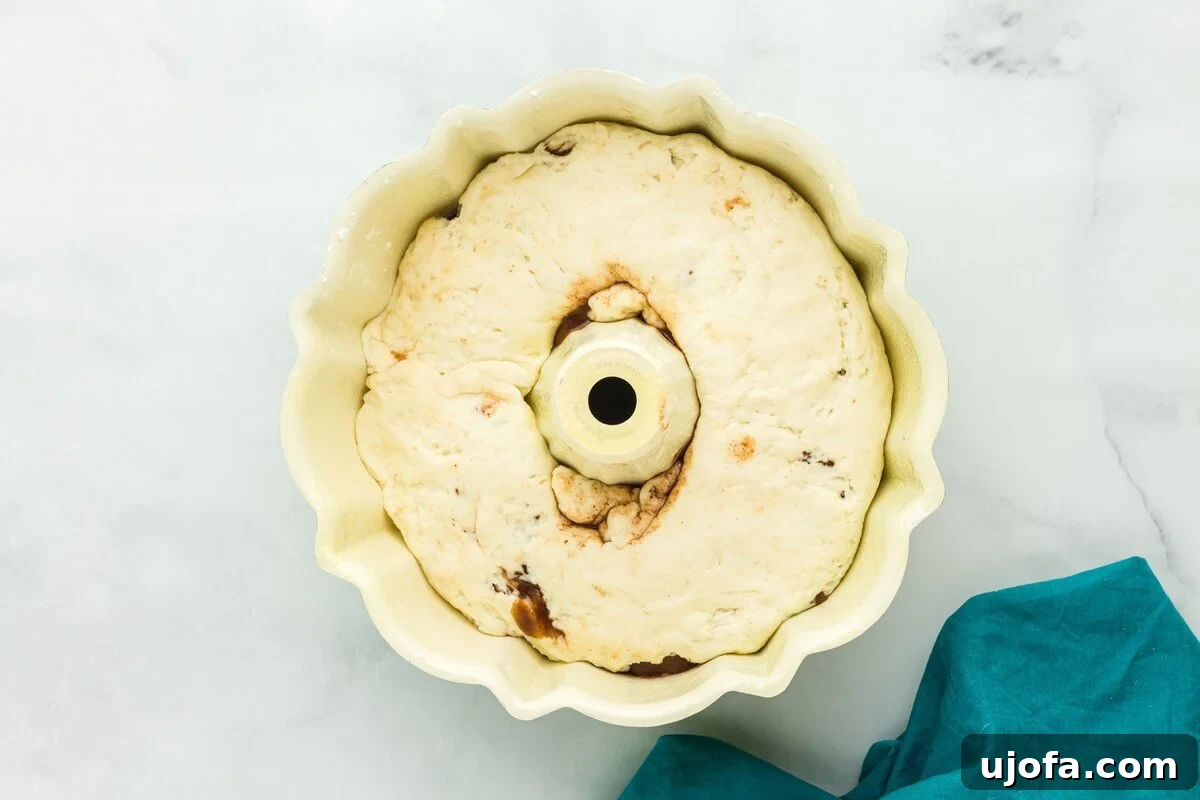 Mardi Gras Magic: Gluten-Free King Cake 13 Shaped gluten free king cake dough placed inside a greased bundt pan before the second rise.