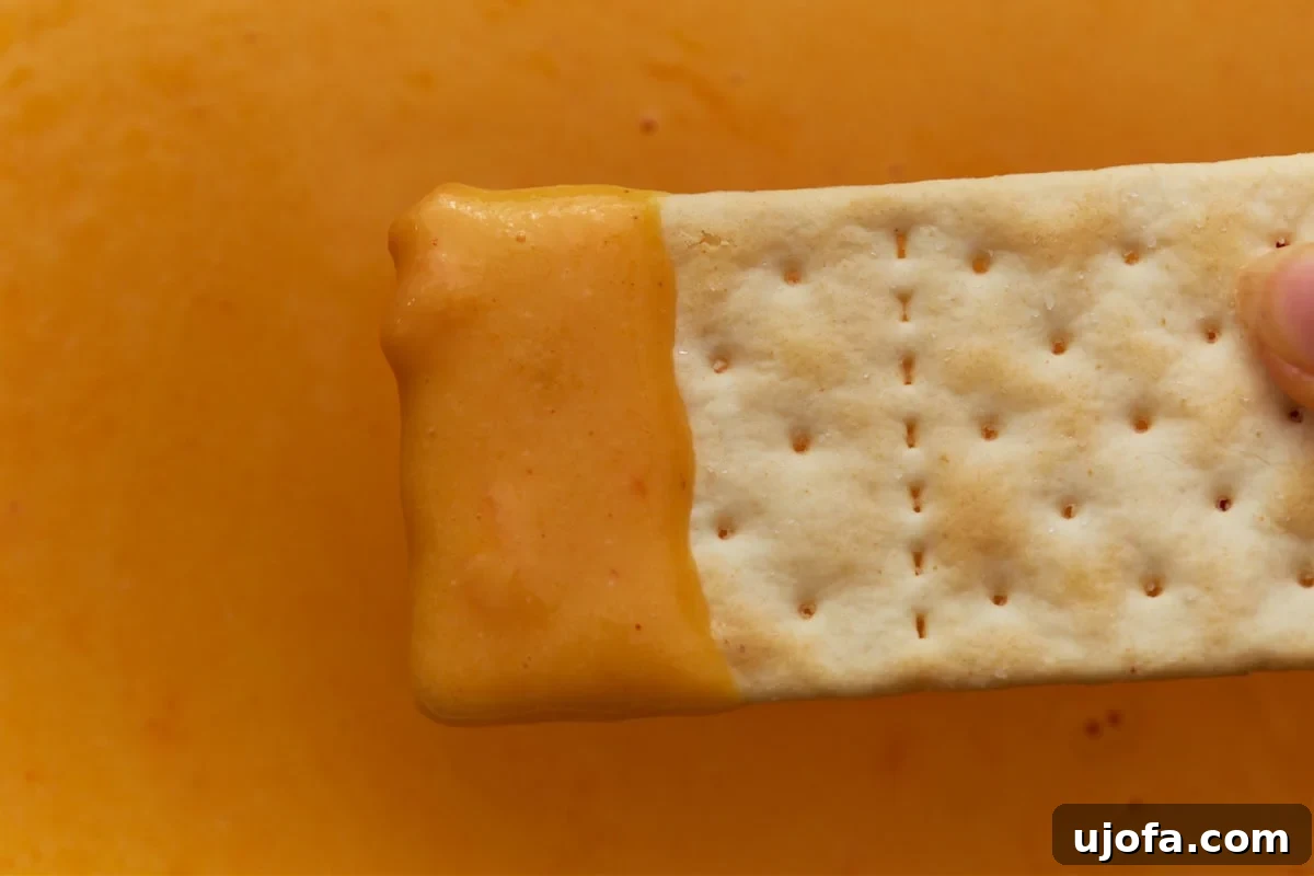 cracker dipped in gluten-free beer cheese sauce