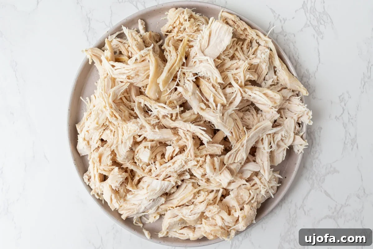 Delectable Gluten-Free Gumbo 7 Perfectly shredded chicken piled high on a plate, ready to be added to the rich gumbo base.