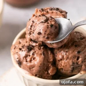 Ninja Cream chocolate protein ice cream in a white bowl with a spoon taking a scoop out