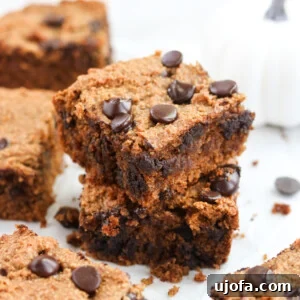 Easy Paleo Pumpkin Blondies
