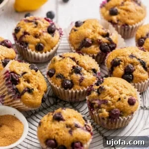 gluten free blueberry muffins on a cooling rack with a bowl of coconut sugar next to them