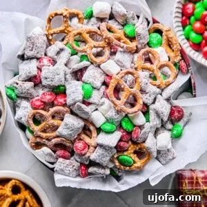 gluten free reindeer chow / Christmas Muddy Buddies in a holiday tin with tissue paper surrounded by mix-ins