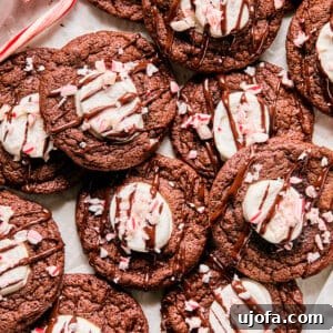 peppermint hot cocoa cookies with marshmallows in the middle topped with chocolate and crushed candy canes