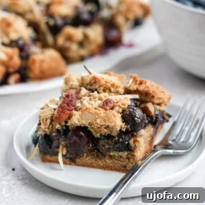 Paleo Blueberry Crumb Bars