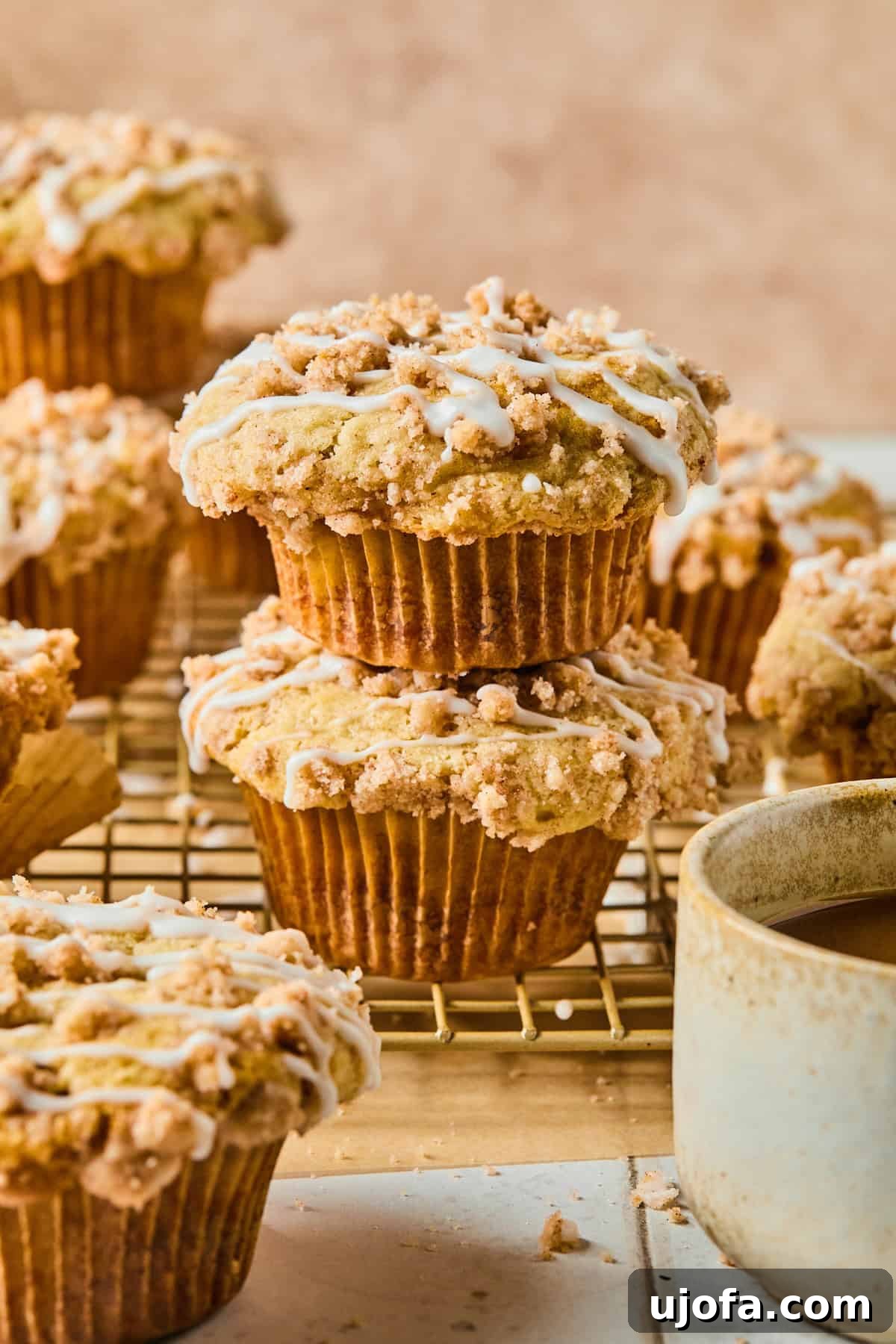 Sweet Crumb Gluten-Free Coffee Muffins 2 Two perfectly baked gluten-free coffee cake muffins, stacked on top of each other, showcasing their crumbly streusel topping.