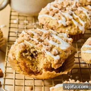 Sweet Crumb Gluten-Free Coffee Muffins 9 A close-up of a gluten-free coffee cake muffin with a bite taken out, showing the soft interior and streusel topping.