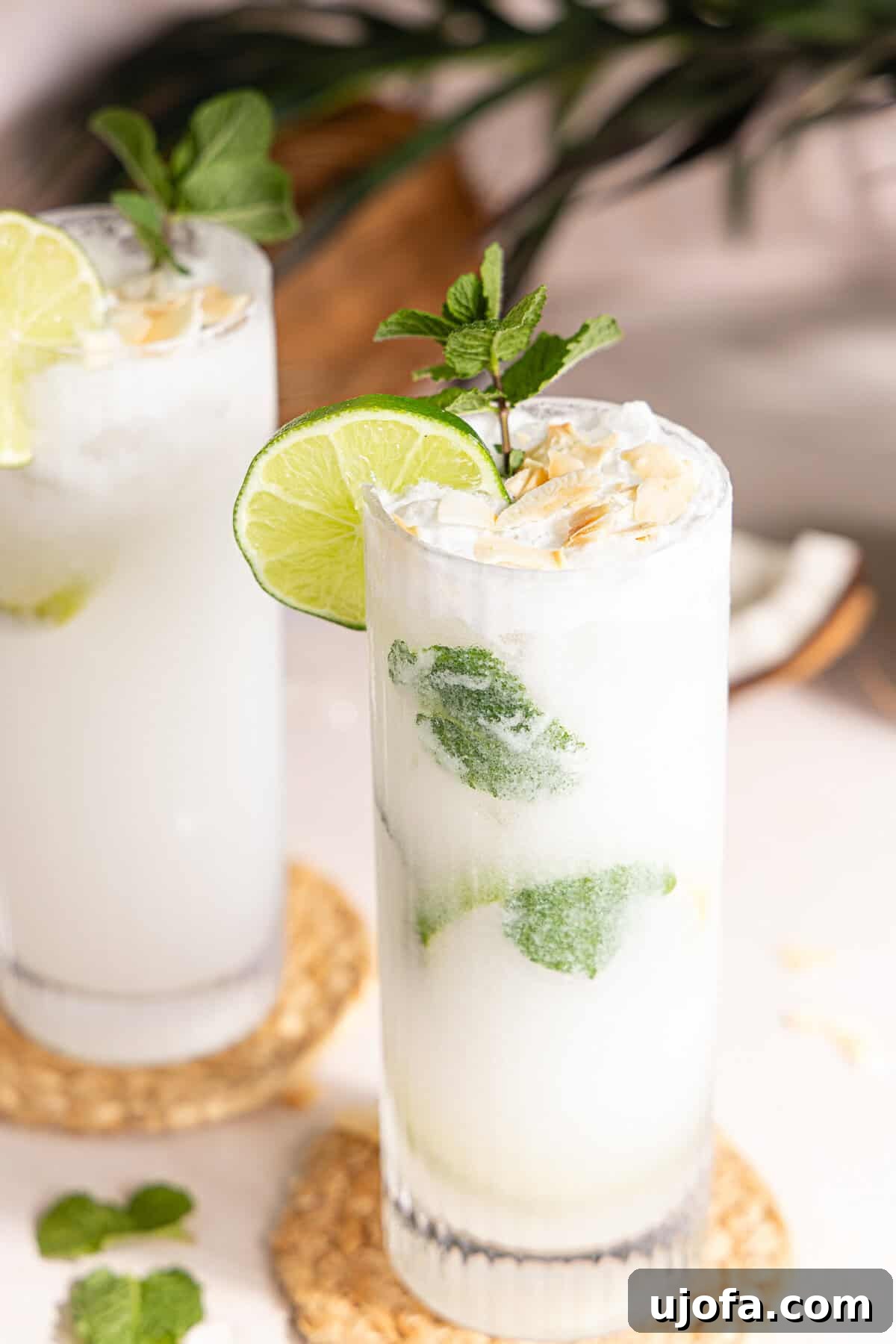Dreamy Coconut Mojito 2 Creamy Coconut Mojito with fresh mint and lime slices, garnished with toasted coconut flakes, on a tropical background.