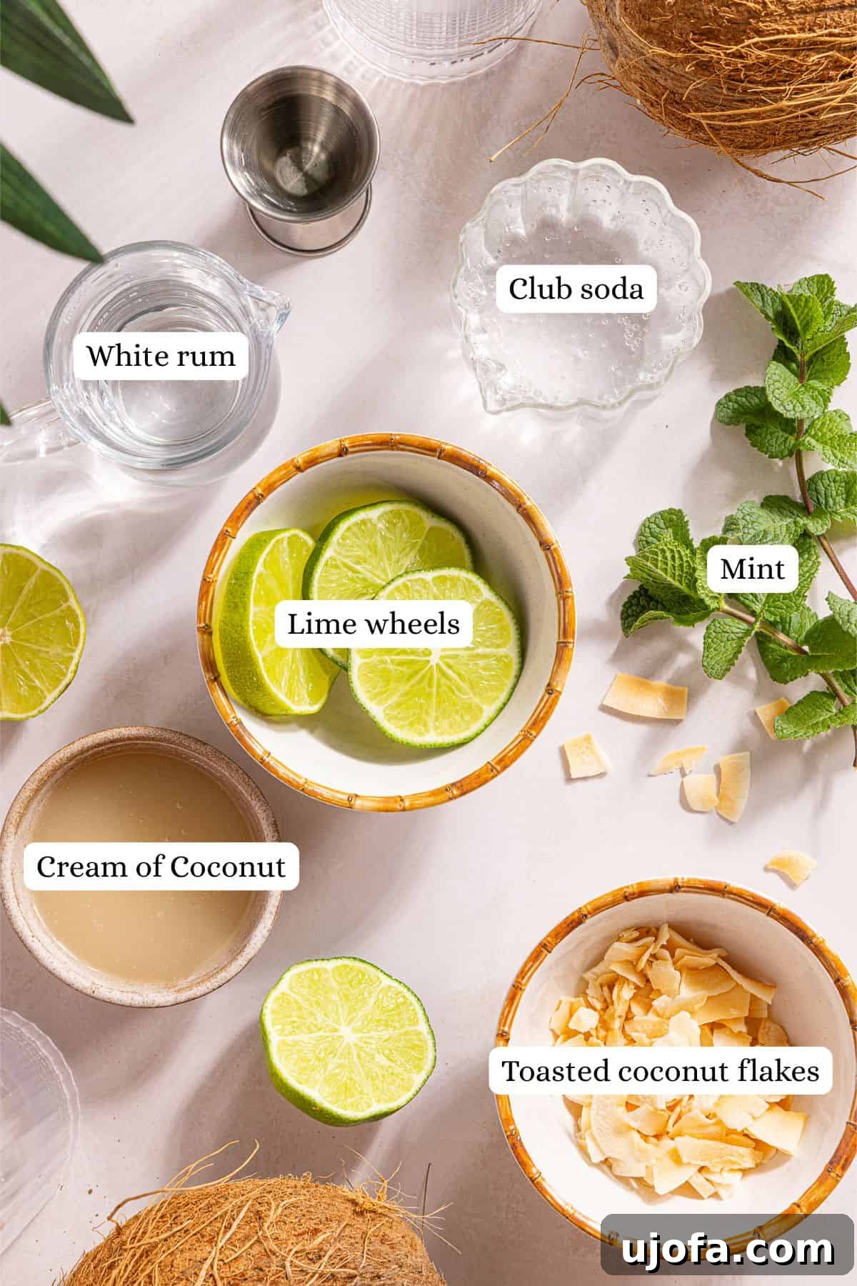 Dreamy Coconut Mojito 3 Individual ingredients for a coconut mojito laid out in small bowls, including fresh mint, lime wedges, white rum, cream of coconut, club soda, and toasted coconut flakes.