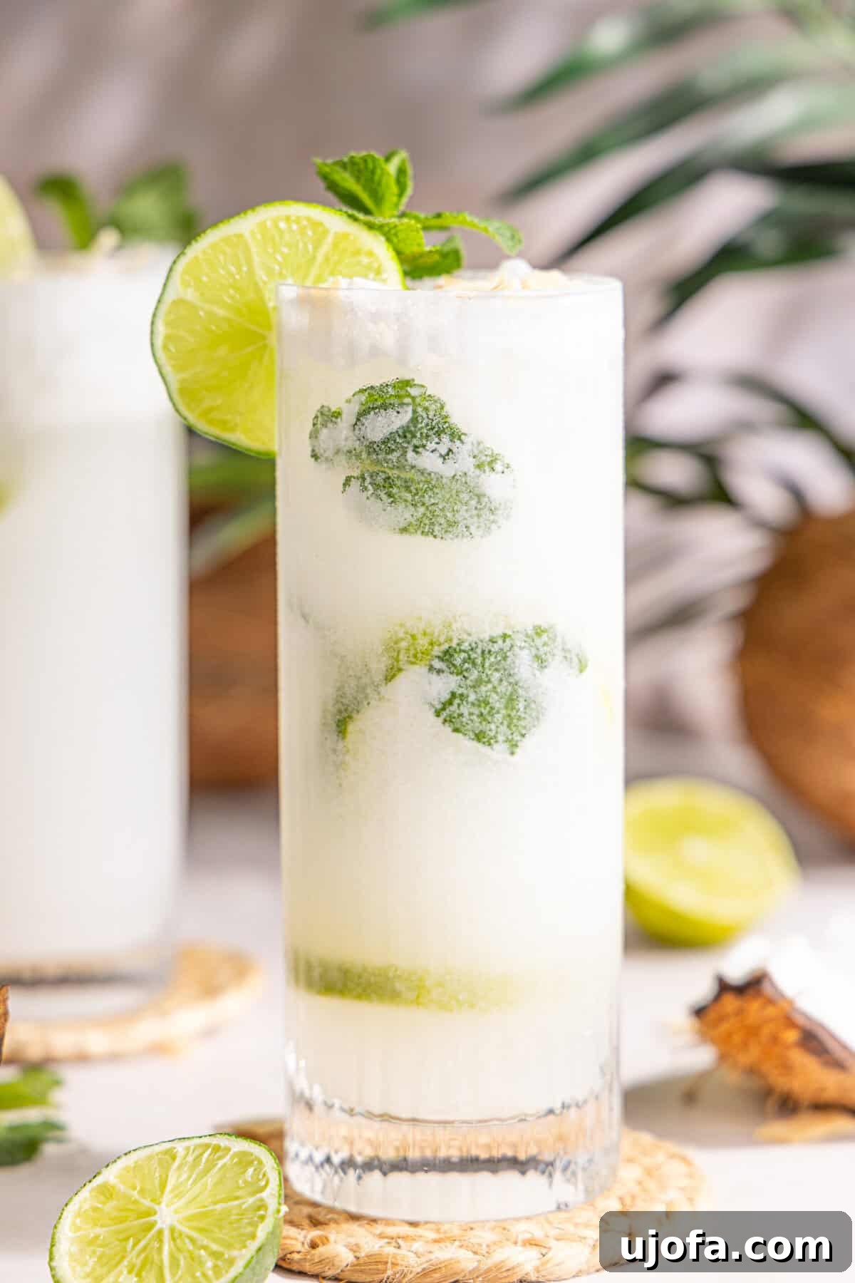 Dreamy Coconut Mojito 9 A perfectly crafted coconut mojito in a glass, garnished with a vibrant lime wheel and a fresh sprig of mint, ready to be enjoyed.