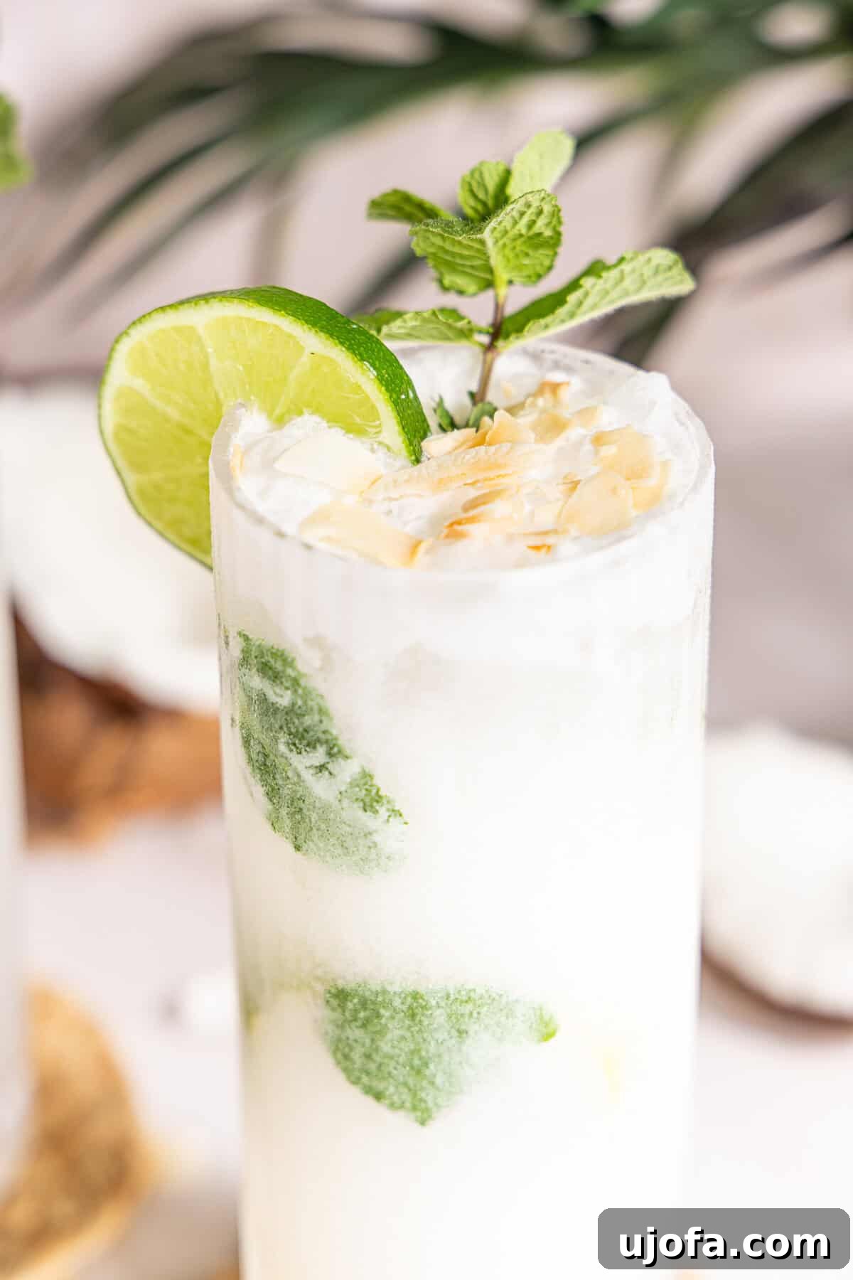 Dreamy Coconut Mojito 10 A close-up shot of a creamy coconut mojito, showing the frosty glass, fresh mint leaves, lime wheel, and floating toasted coconut flakes.