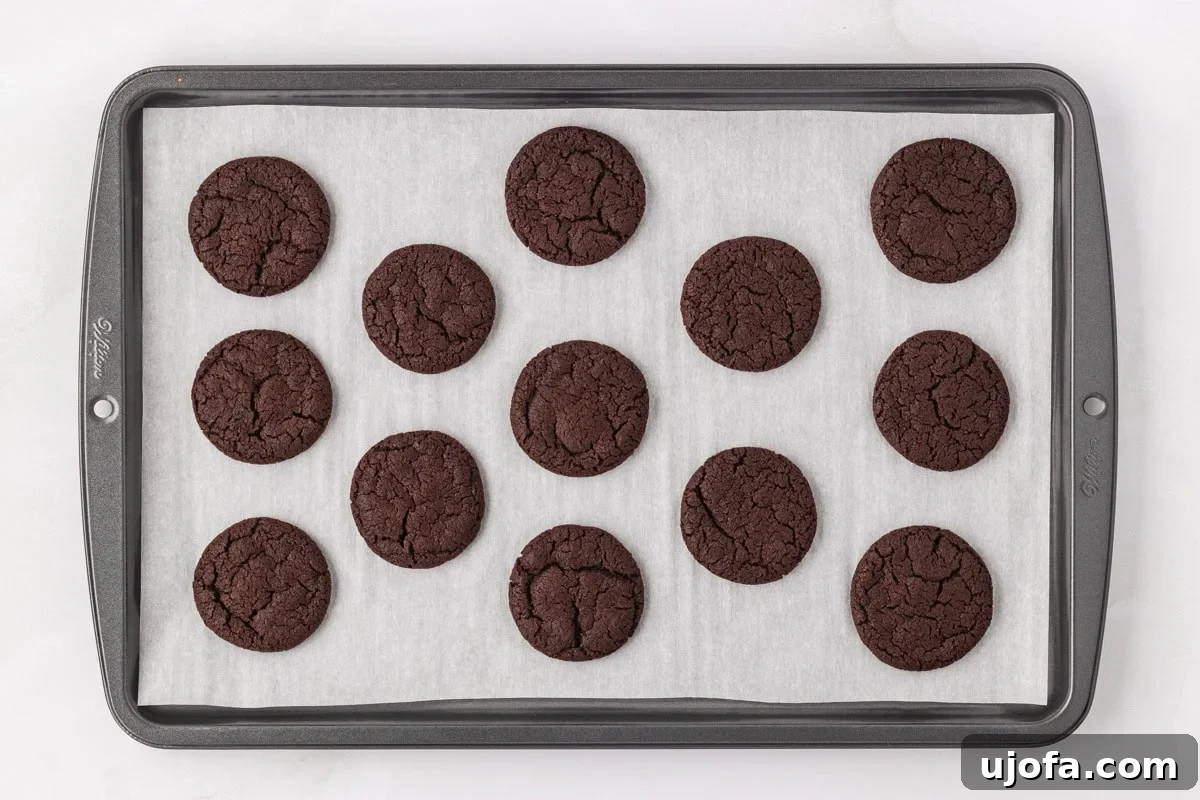 Freshly baked chocolate cookies cooling on a parchment-lined baking sheet with cracked tops and a rich color.
