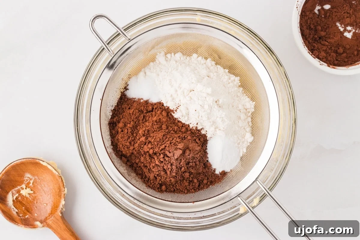 Gluten free flour, Dutch-processed cocoa powder, baking soda, and salt in a metal sifter set over a glass bowl.