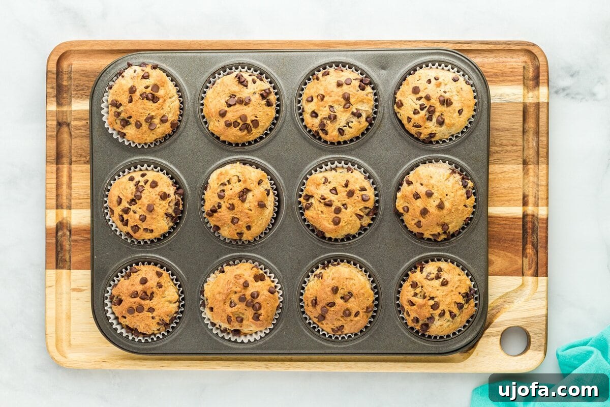 Freshly baked gluten-free chocolate chip muffins, golden brown and still in their paper liners within the muffin tin, cooling on a wooden cutting board.