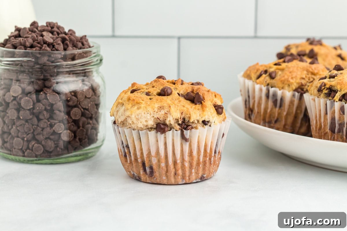A single gluten-free chocolate chip muffin in a white paper liner, placed prominently in front of a clear glass jar filled with chocolate chips. More muffins are visible, slightly blurred, on a plate in the background.