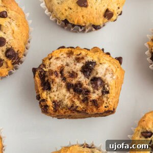 A close-up of gluten-free chocolate chip muffins on a white background, with one muffin cut in half to show the soft, fluffy interior and melty chocolate chips.