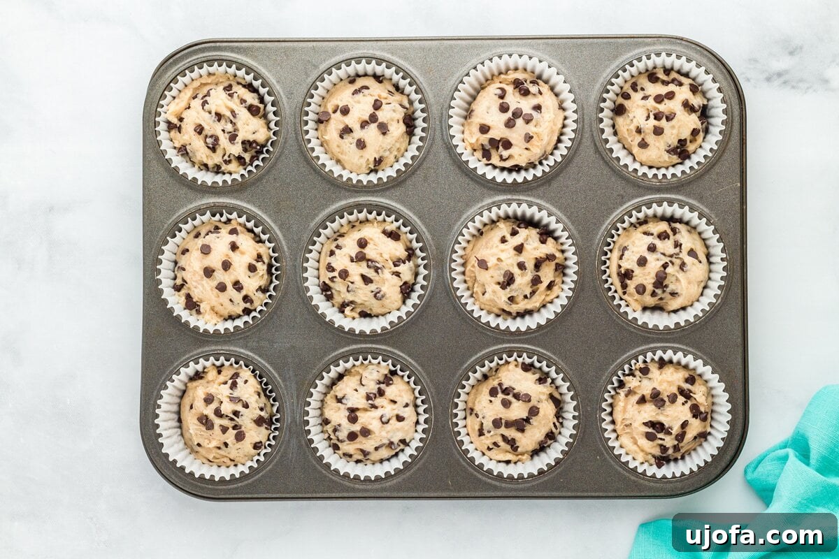 An overhead shot of a muffin tray, neatly filled with unbaked chocolate chip muffin batter in paper liners, perfectly portioned and ready for the oven.
