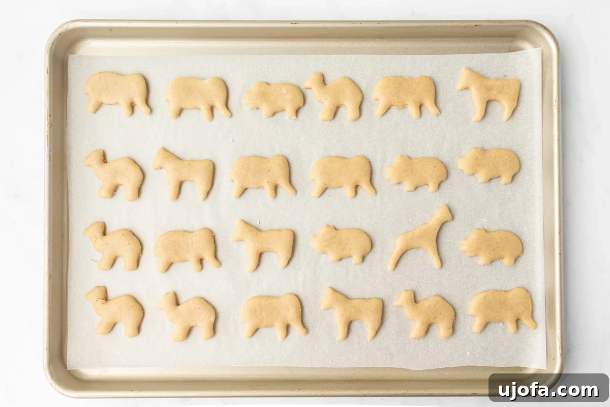 Unbaked gluten-free animal crackers, neatly arranged on a parchment-lined baking sheet, spaced out and ready for the oven.