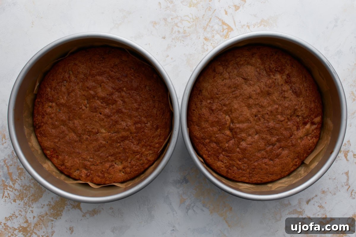 Two fully baked almond flour carrot cake layers cooling in round cake pans lined with parchment.