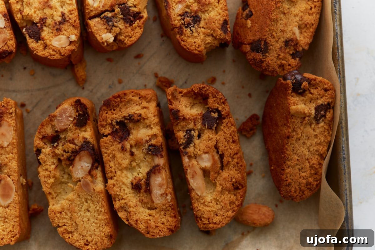 Artisanal Almond Biscotti 11 A close-up view of crunchy almond flour biscotti slices, highlighting the toasted almonds and melted chocolate chips, ready for dipping.