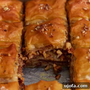 Gluten-free baklava cut into squares showing flaky phyllo layers and chopped nut filling soaked in honey syrup.