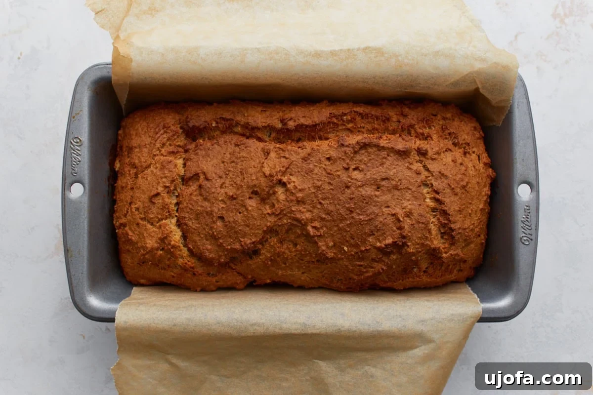 Wholesome Oat Bread 8 Freshly baked oat flour bread in a loaf pan with golden crust and cracked top