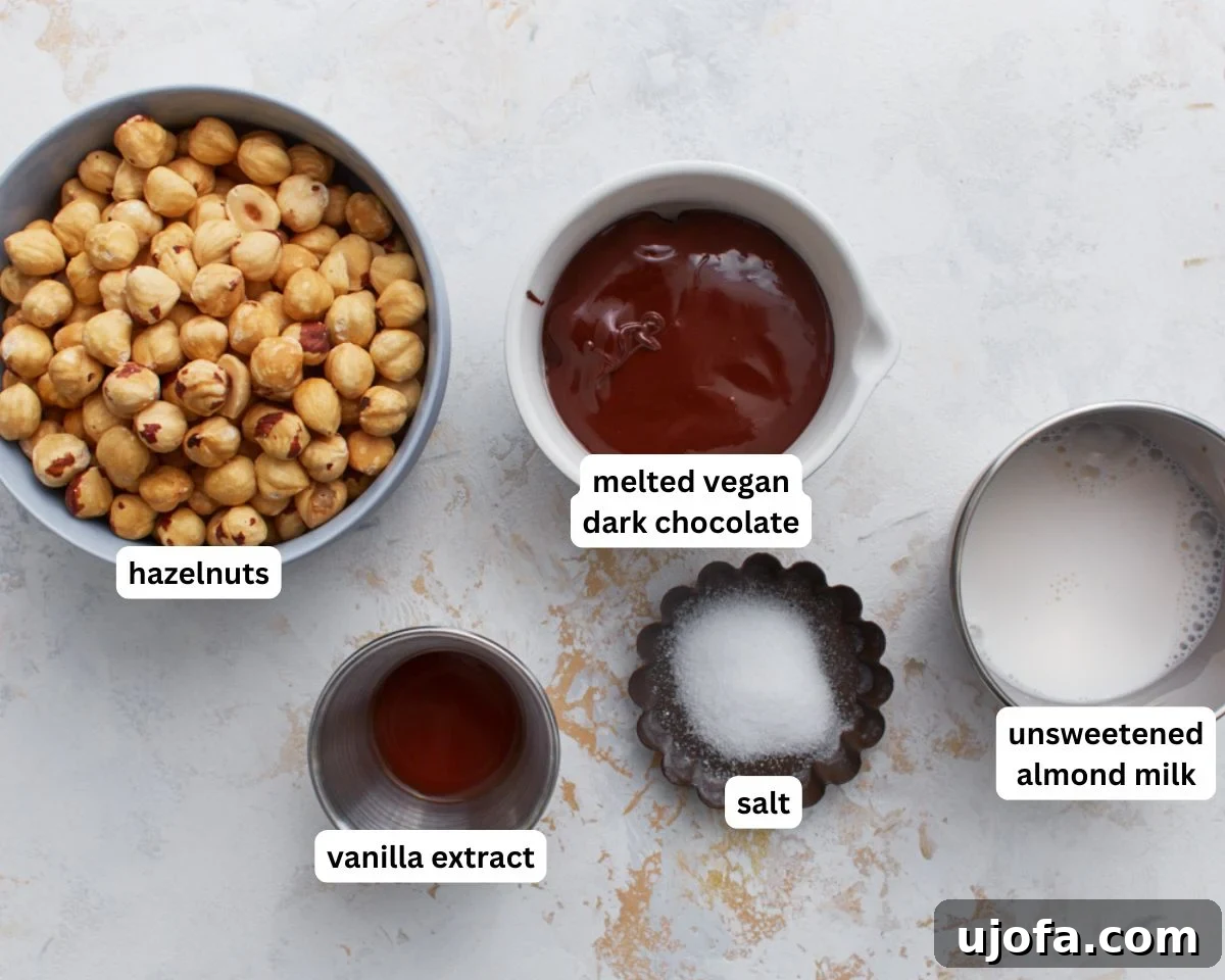 A selection of the five simple ingredients required for homemade vegan Nutella, including blanched hazelnuts, dark vegan chocolate, vanilla extract, salt, and almond milk.