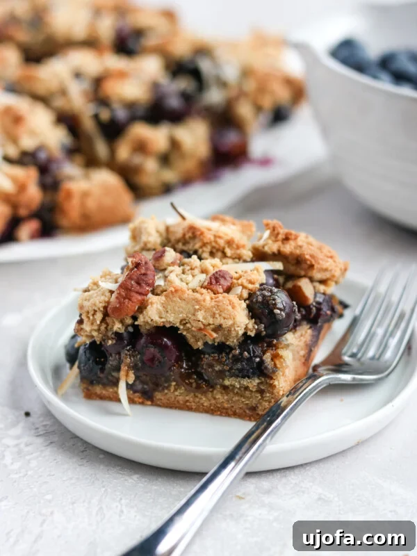 Gluten-Free Tiramisu Recipe: Authentic Italian Dessert Without Gluten 13 Paleo Blueberry Crumb Bars