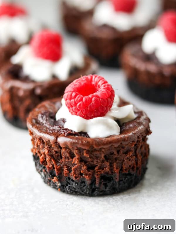 Protein-Packed Banana Pudding Cups for Muscle Fuel 13 chocolate protein cheesecake with whipped cream and raspberries on top