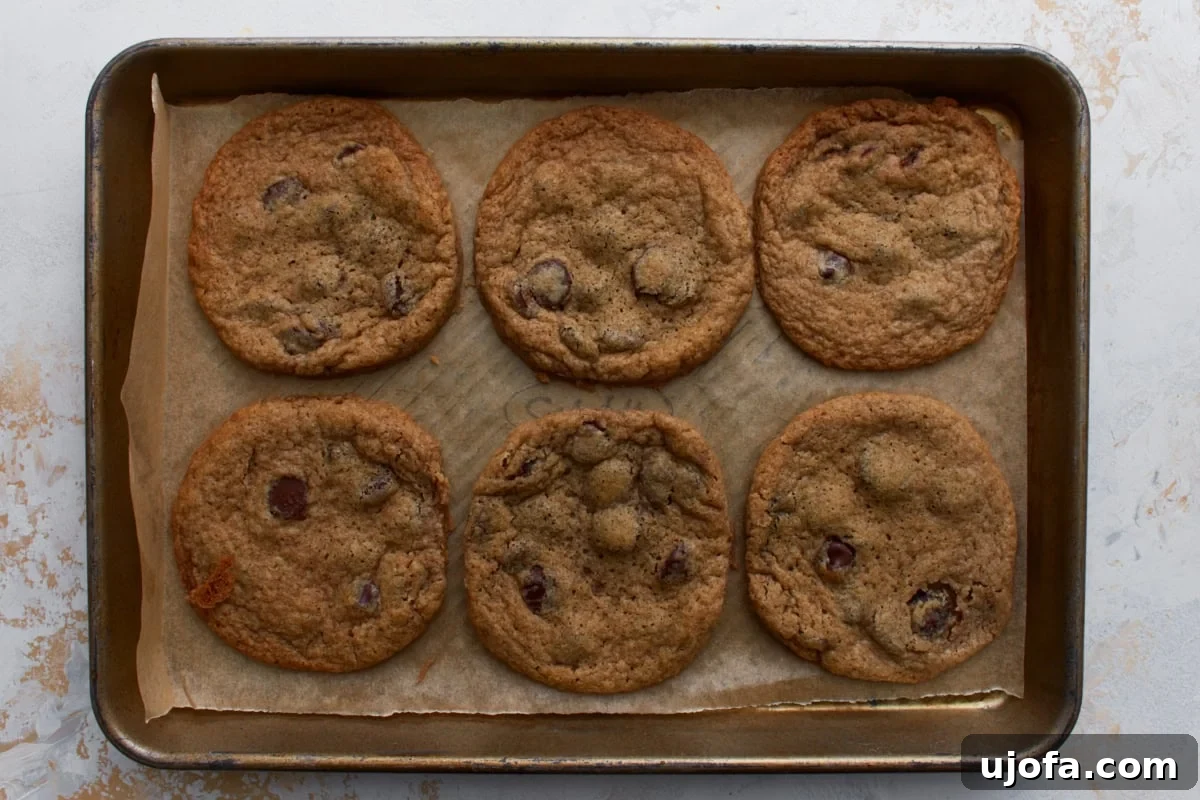 Six baked buckwheat chocolate chip cookies arranged on a parchment lined baking sheet