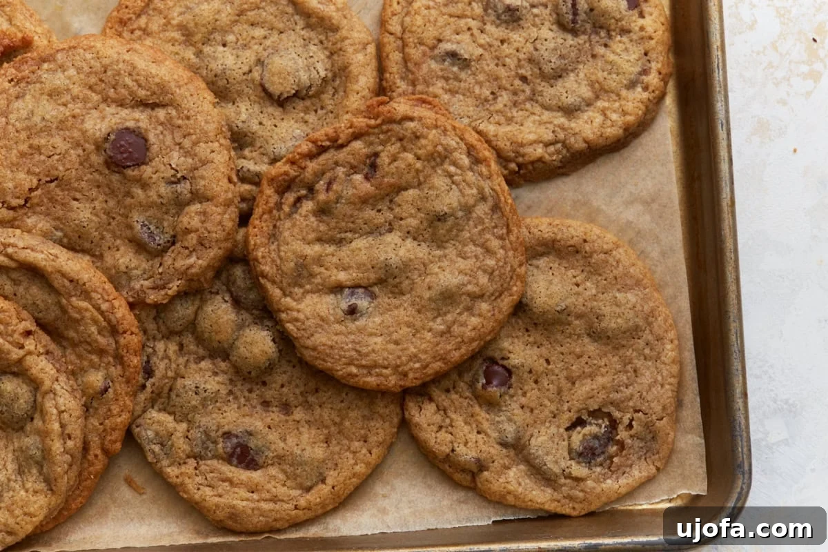 Close up of buckwheat chocolate chip cookies on a baking sheet highlighting the texture and melted chocolate chips