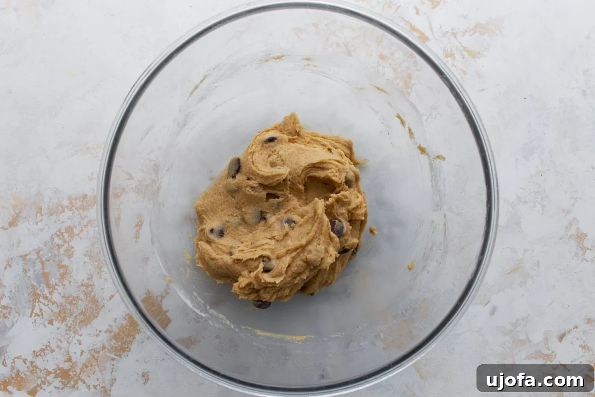 Chocolate chips folded into thick buckwheat cookie dough