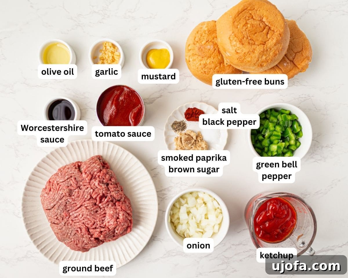gluten free sloppy joe ingredients