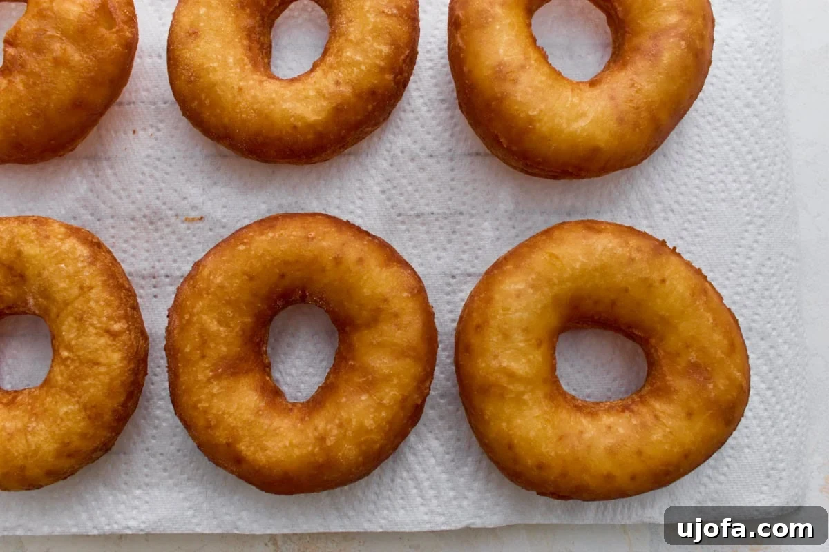 Gluten-Free Mochi Donuts Recipe: Chewy, Crispy & Irresistible 10 Freshly fried gluten-free mochi donuts cooling on paper towels before adding powdered sugar