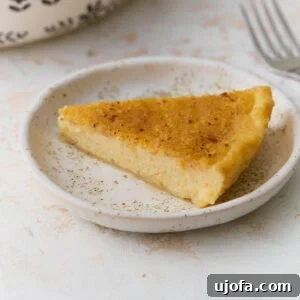Silky Crustless Custard Pie Recipe: Creamy Baked Custard Delight 3 Slice of gluten-free crustless custard pie on a white plate with nutmeg sprinkled on top