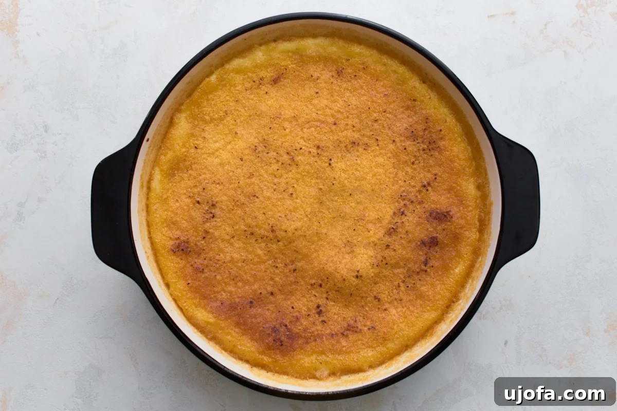 Silky Crustless Custard Pie Recipe: Creamy Baked Custard Delight 7 Baked crustless custard pie with a golden brown top in a pie dish