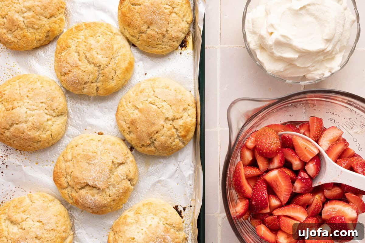 biscuits, strawberries, and whipped cream