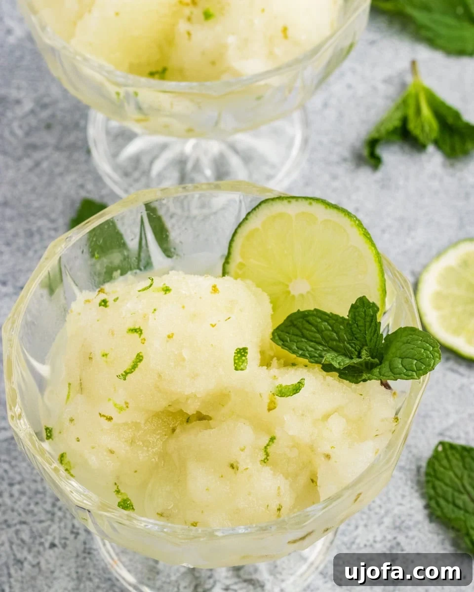 Refreshing Lime Sorbet Recipe: Zesty Homemade Citrus Sorbet 2 Lime sorbet scoops garnished with fresh mint and lime slices in glass dessert bowls.