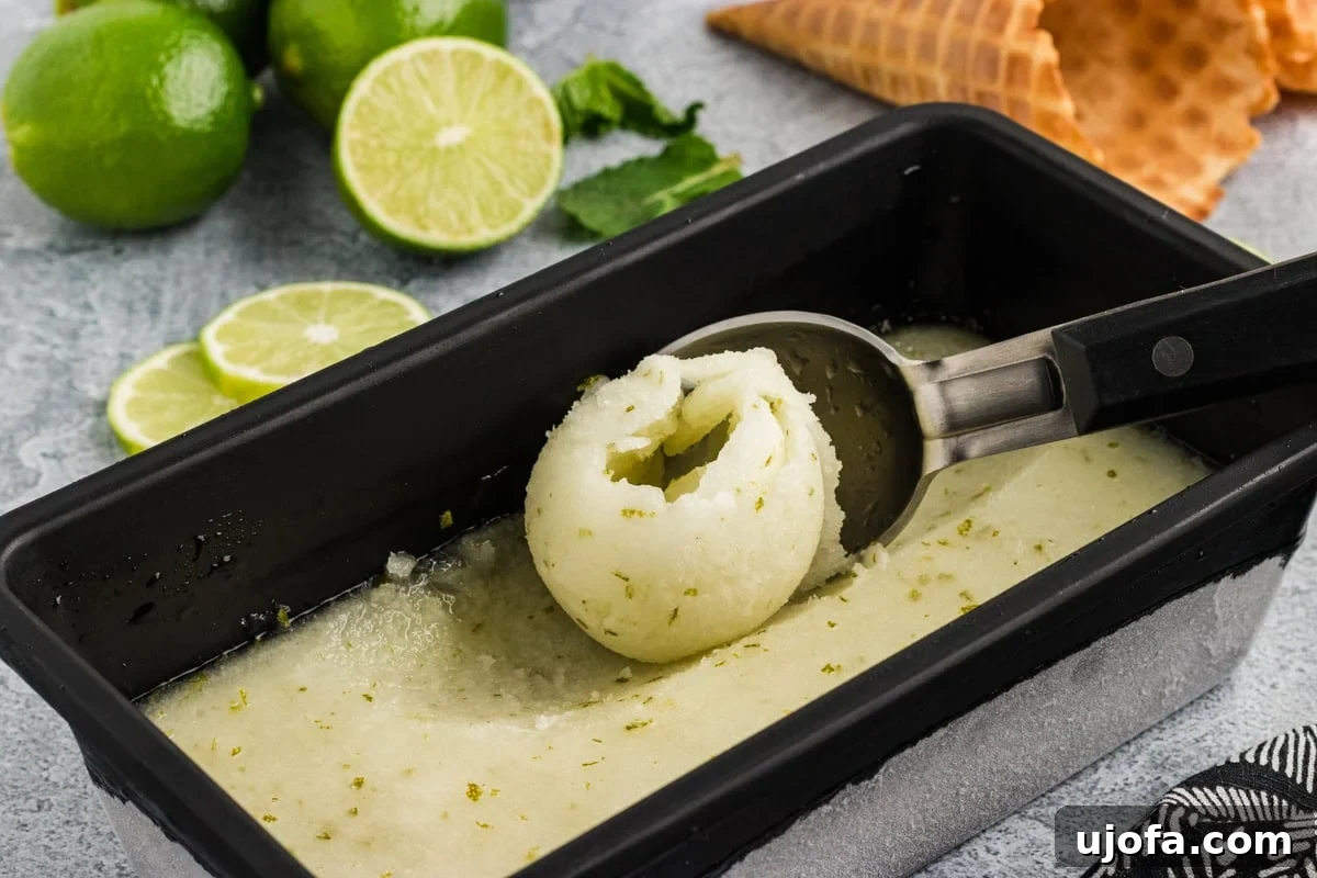 Refreshing Lime Sorbet Recipe: Zesty Homemade Citrus Sorbet 10 lime sorbet finished and being scooped up