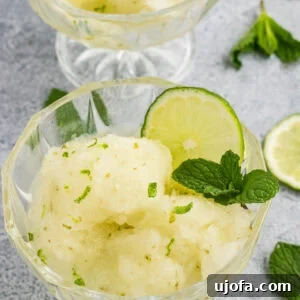 Refreshing Lime Sorbet Recipe: Zesty Homemade Citrus Sorbet 3 Lime sorbet scoops garnished with fresh mint and lime slices in glass dessert bowls.